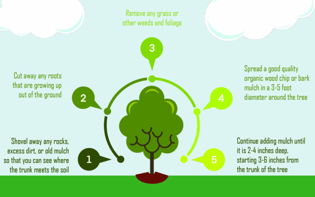 Mulch: How, Why and What Not to Do