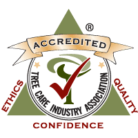 TCIA Accreditation Logo