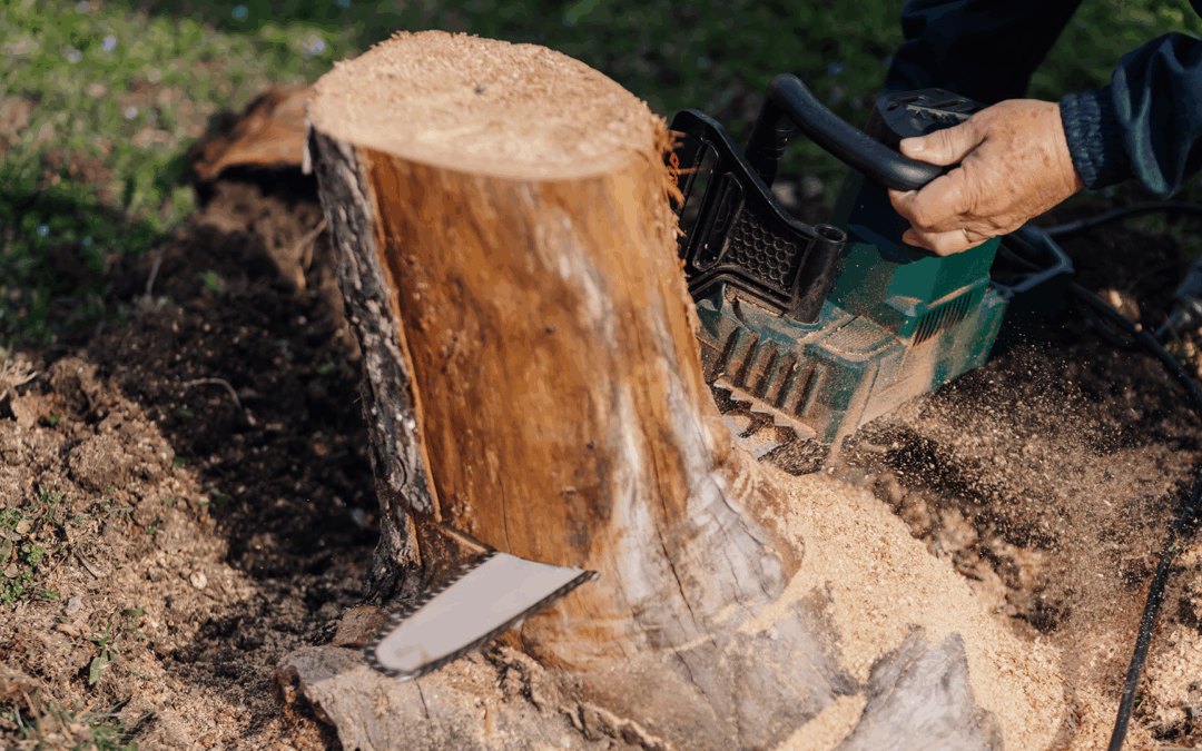 DIY Stump Removal vs Hiring a Pro | What’s Best?