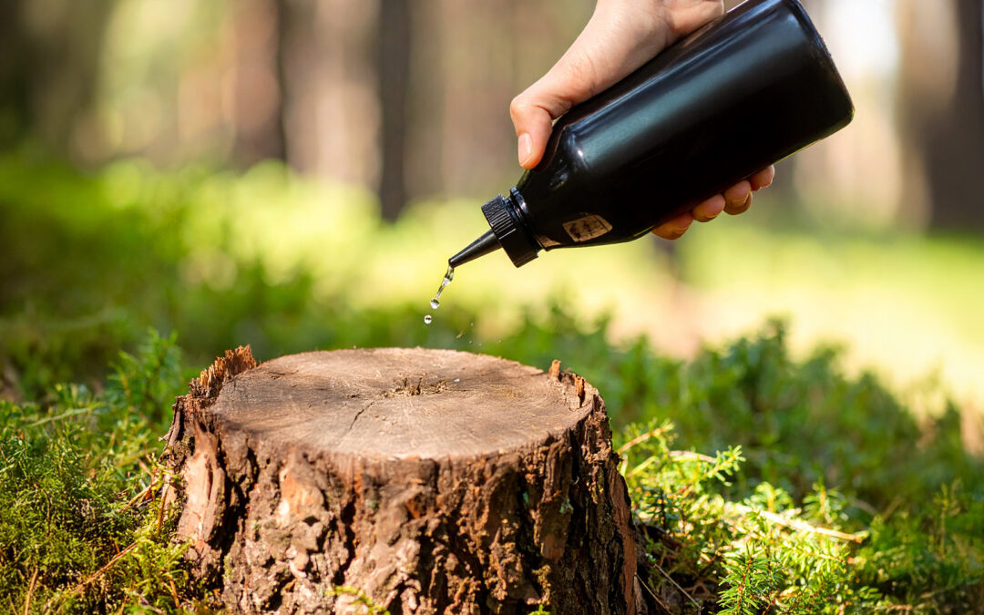 Is a Stump Removal Chemical Safe for Your Yard?